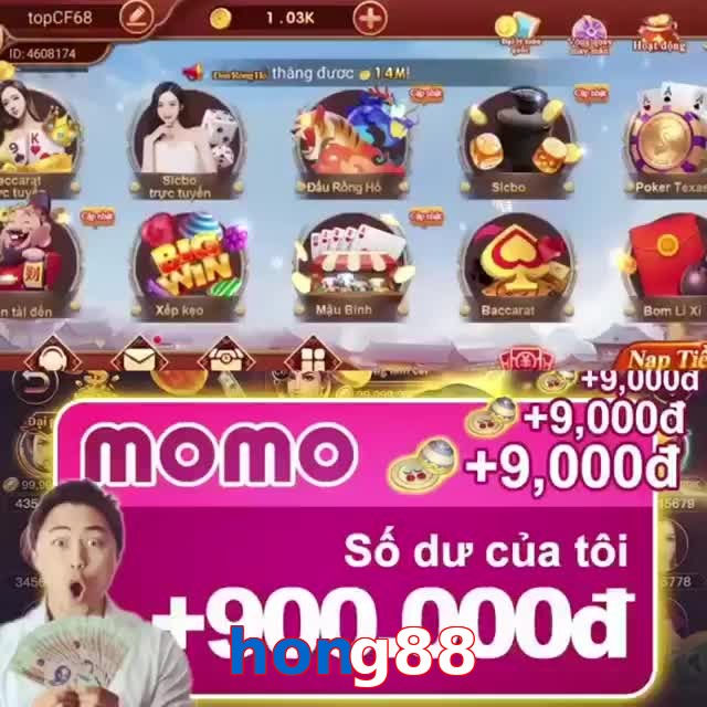 hong88