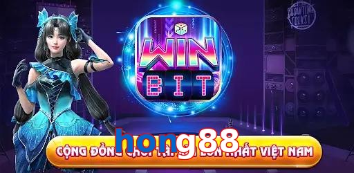 hong88