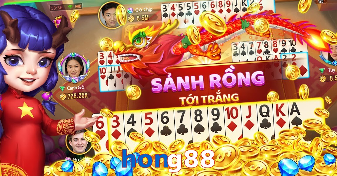 hong88